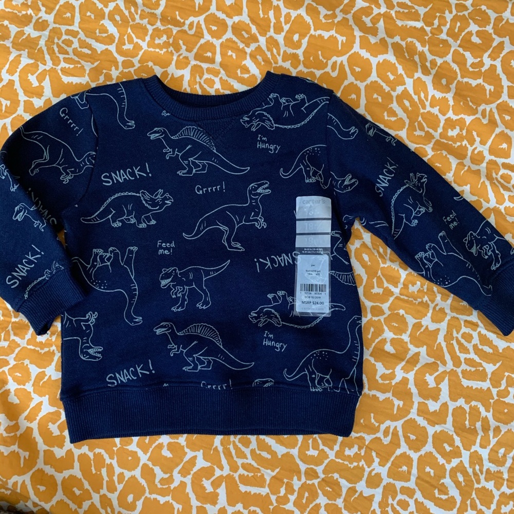 18 month boys dinosaur sweater